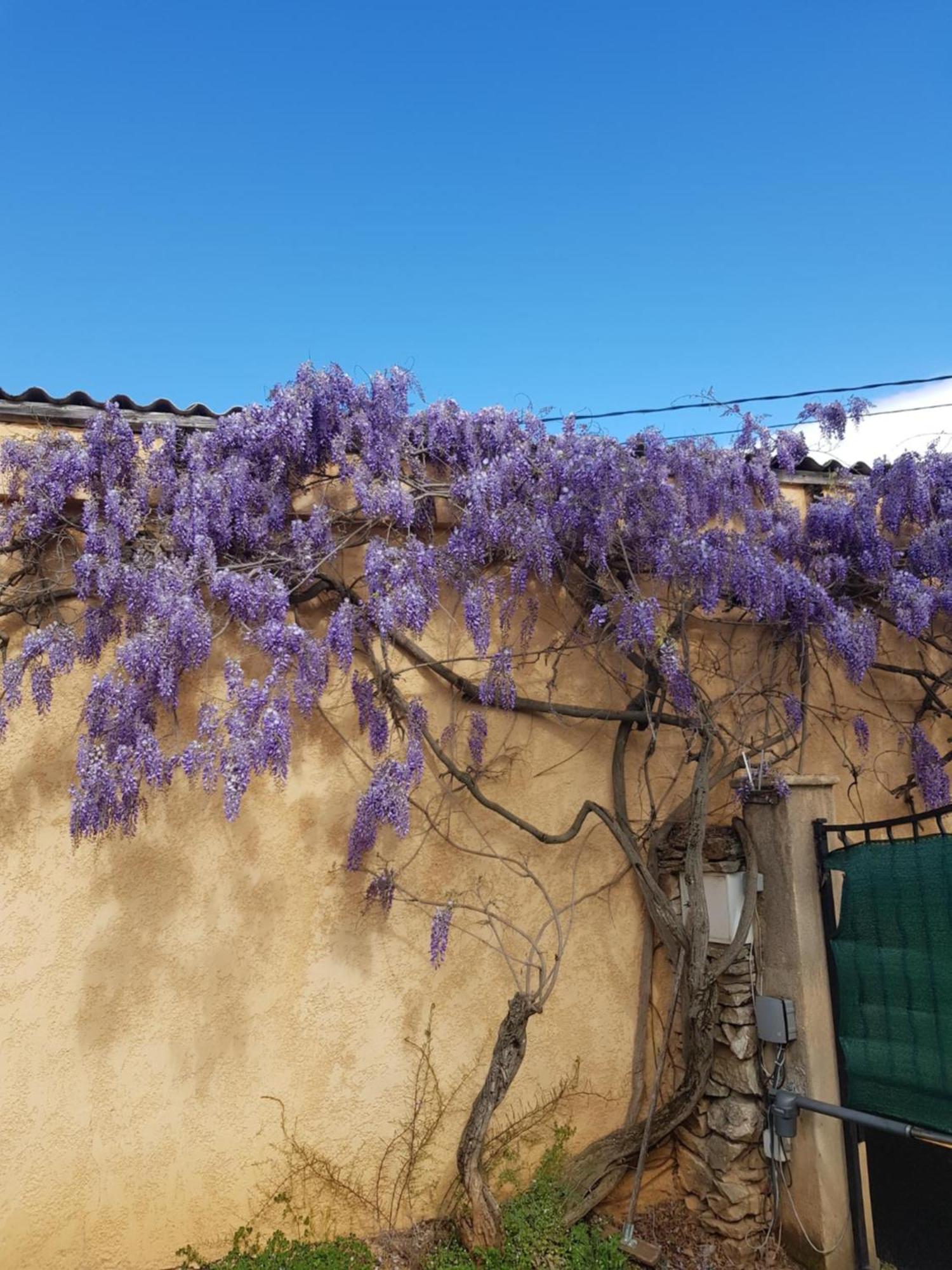 Cap Au Sud Sweet Home ニーム エクステリア 写真
