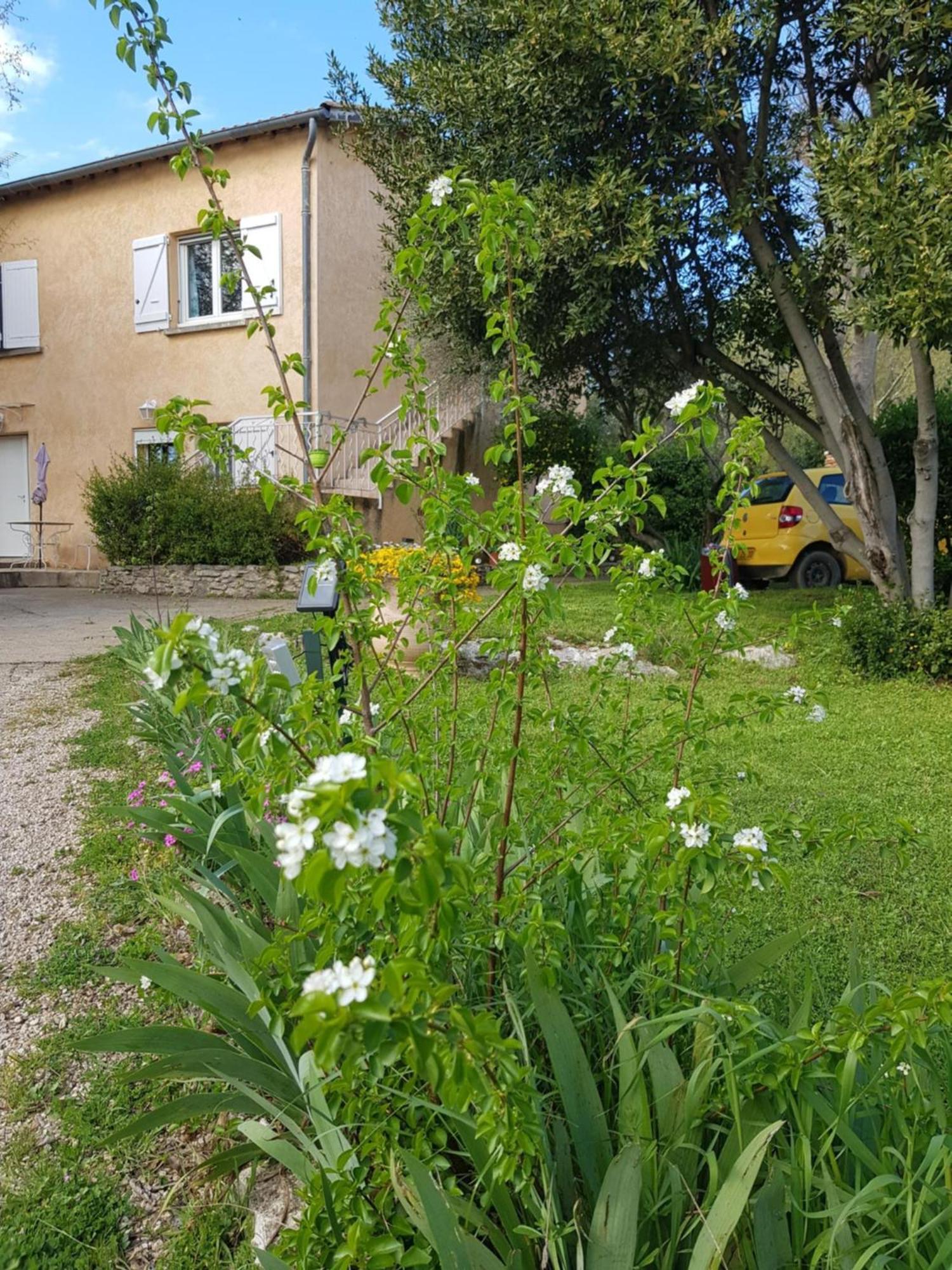 Cap Au Sud Sweet Home ニーム エクステリア 写真