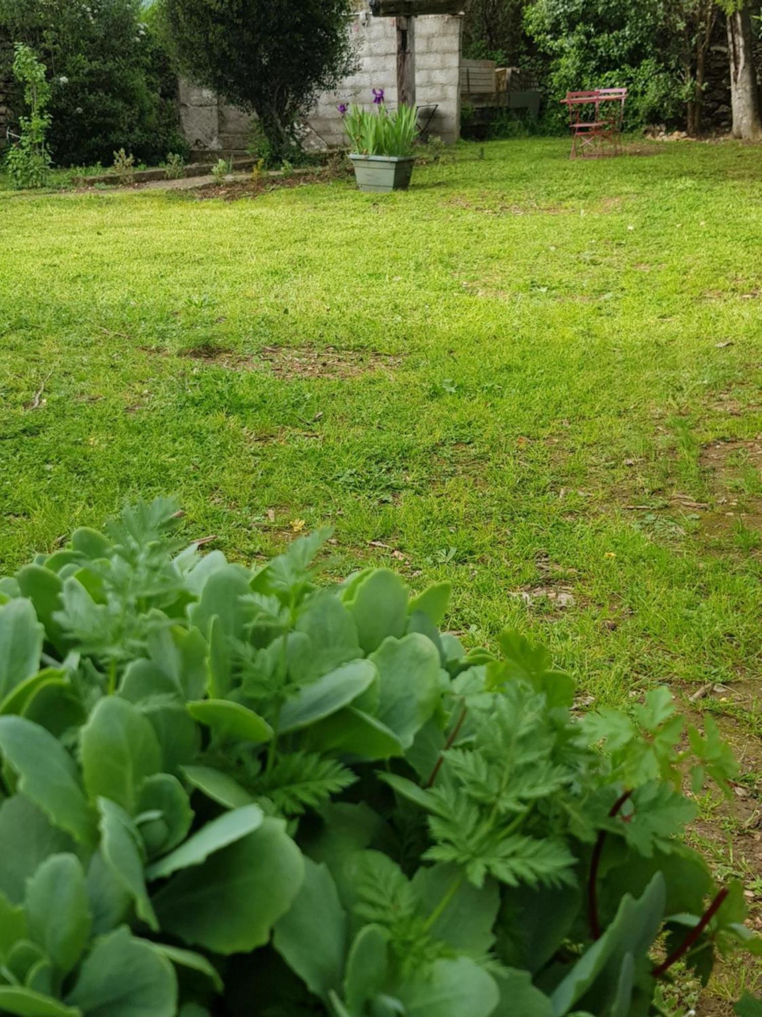 Cap Au Sud Sweet Home ニーム エクステリア 写真