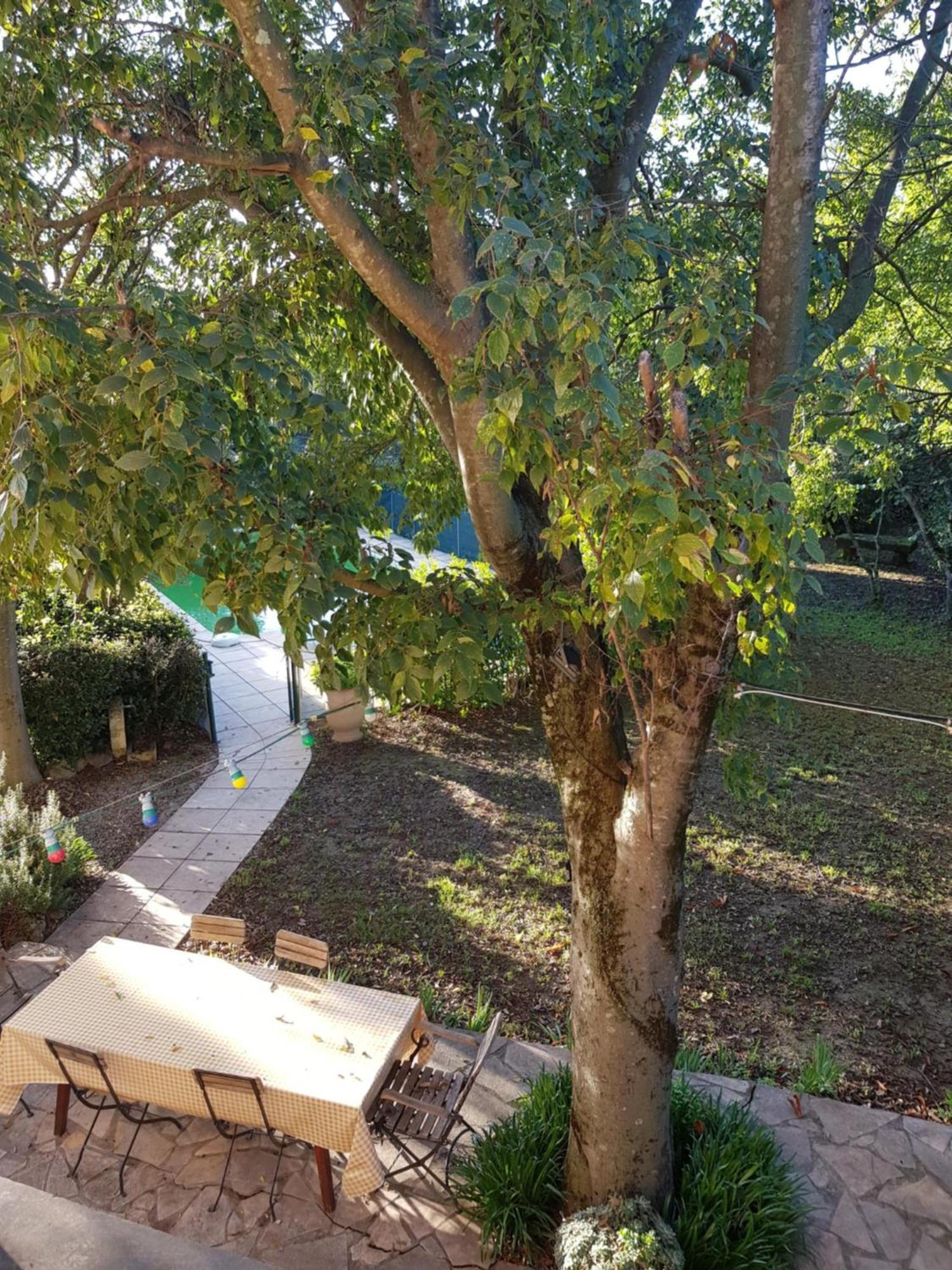 Cap Au Sud Sweet Home ニーム エクステリア 写真