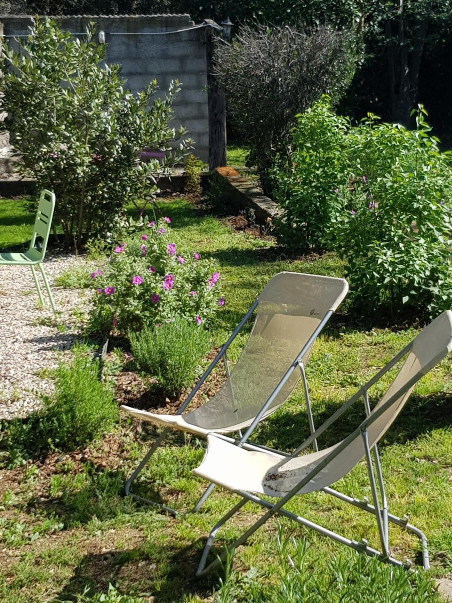Cap Au Sud Sweet Home ニーム エクステリア 写真